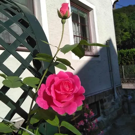 Zuhause Am Bach Ruhige Fuer Erholungssuchende Am Welterbesteig Und Donauradweg *