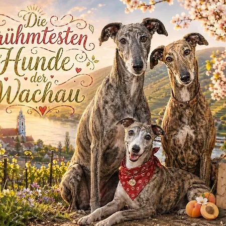 Zu Hause Am Bach Aggsbach
