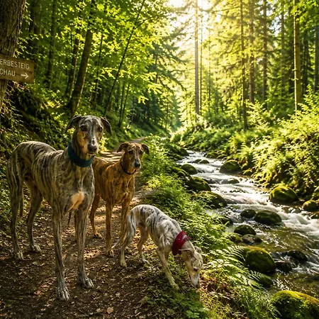 منزل للإقامة Zuhause Am Bach Ruhige Fuer Erholungssuchende Am Welterbesteig Und Donauradweg