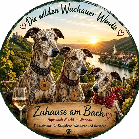 Zuhause Am Bach Ruhige Fuer Erholungssuchende Am Welterbesteig Und Donauradweg Homestay *