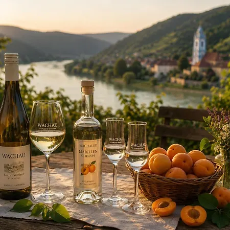 منزل للإقامة Zuhause Am Bach Ruhige Fuer Erholungssuchende Am Welterbesteig Und Donauradweg Aggsbach