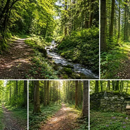 منزل للإقامة Zuhause Am Bach Ruhige Fuer Erholungssuchende Am Welterbesteig Und Donauradweg *